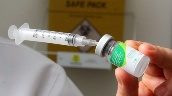 Idosos terão prioridade na campanha de vacinação contra influenza