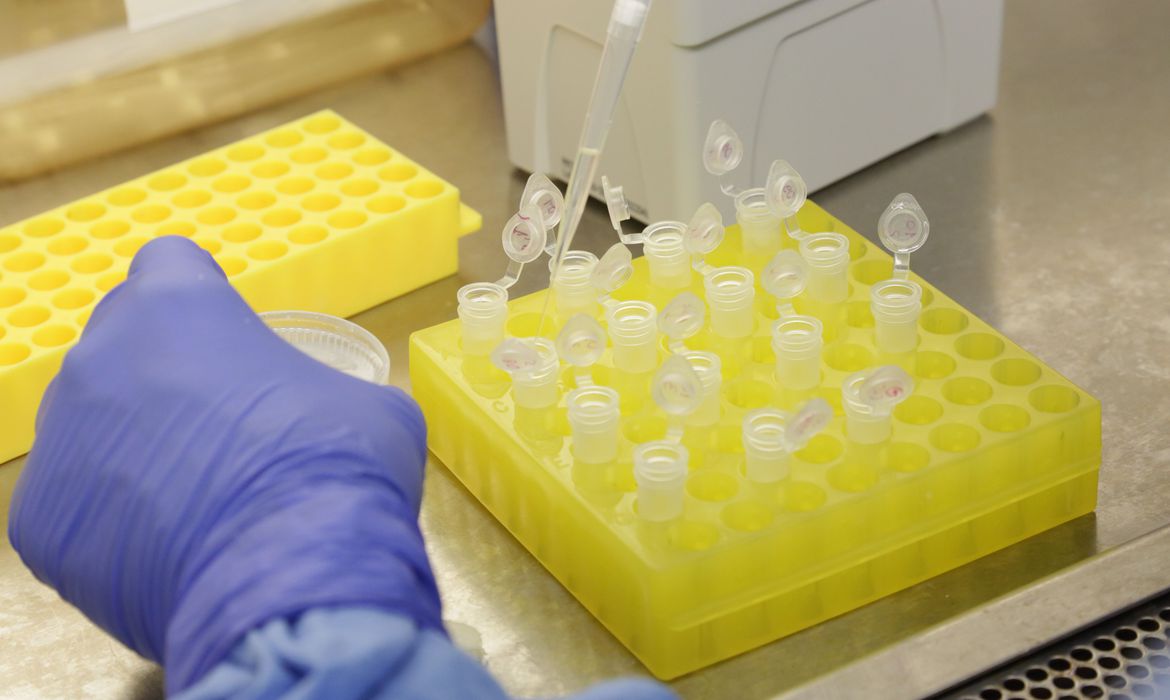 Testes gratuitos coronavírus laboratório